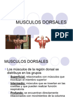 (Clase 4) Musculos de DORSO