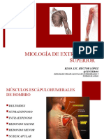 (Clase 5) Musculos de EE - SS