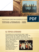 NM3-Topicos Literarios