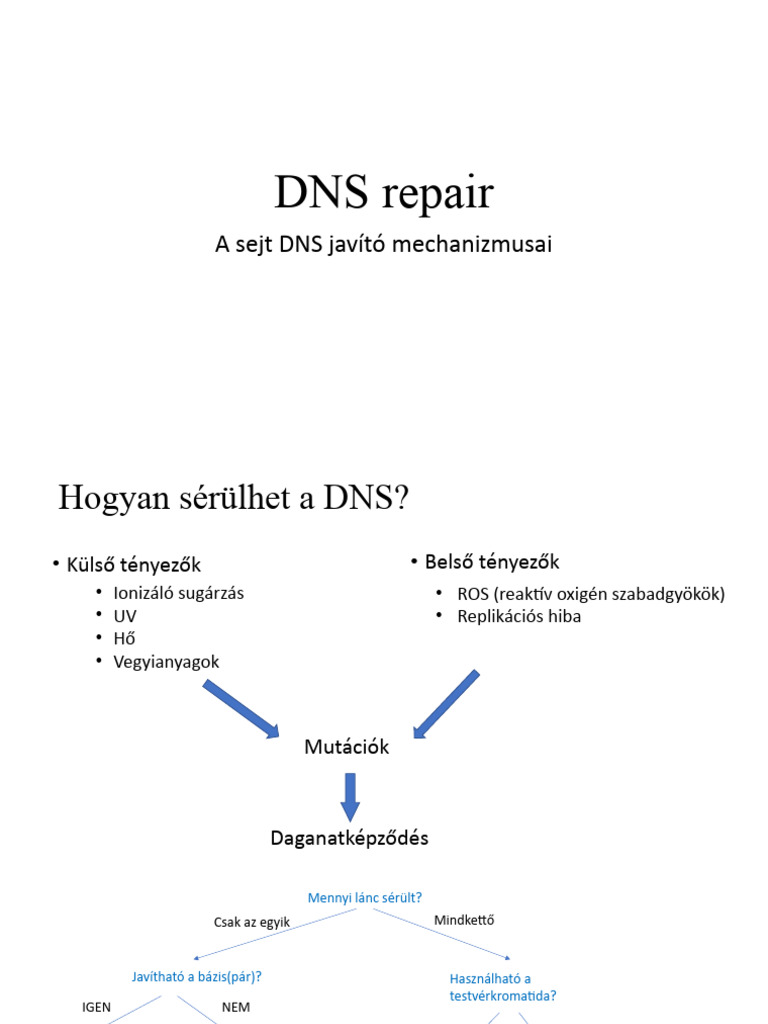 DNS Repair...... | PDF