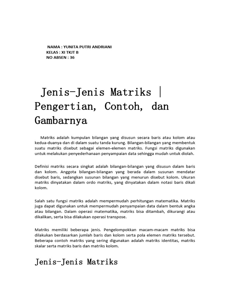 10+ Jenis-Jenis Matriks - Pengertian, Contoh, Dan Gambarnya | PDF