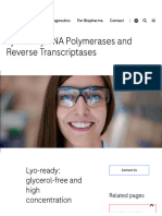 Roche DNAPolymerase