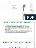 Biomecánica de La Cadera