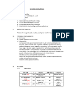 Modelo de Informe Tae 1 y 2 C