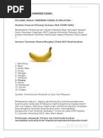 Download Contoh Paper Work Pisang by Sufian Baharuddin SN67975061 doc pdf