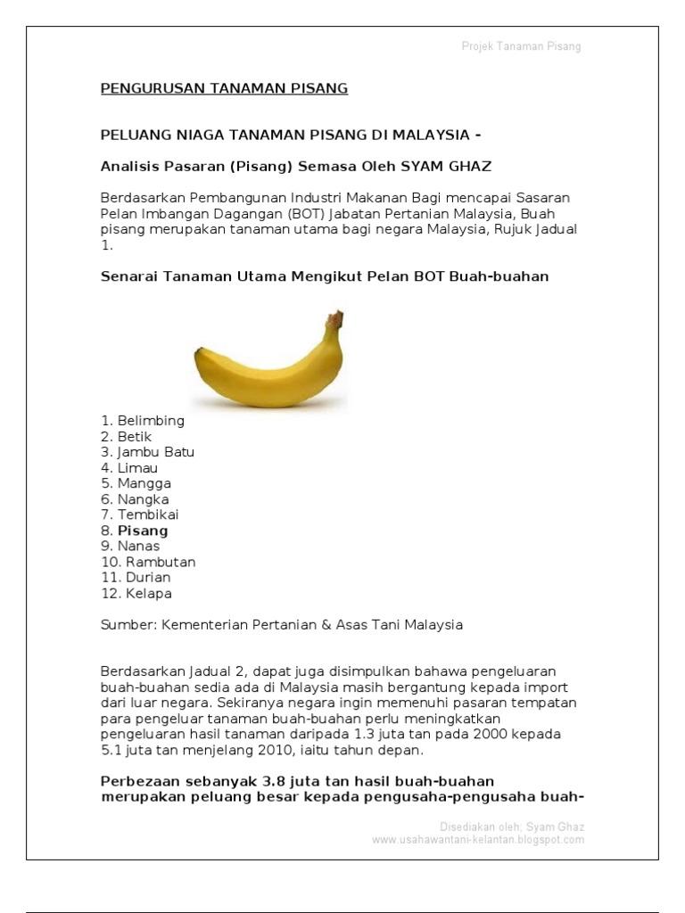 Projek Tanaman Pisang Di Chuping Valley Perlis Giganation