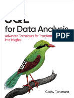 SQL For Data Analysis Traduzido