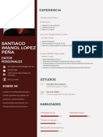 CV Santiago Lopez