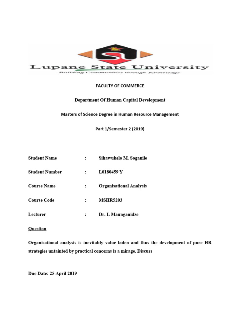 Organisational Analysis Assignment 1 Soga Pdf Strategic