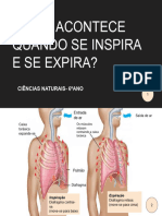 O QUE ACONTECE QUANDO SE INSPIRA E SE EXPIRA - Ciências Naturais-6º Ano