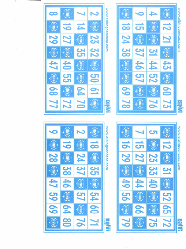 Bingo 1 | PDF