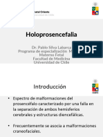 Holoprosencefalia DR Pablo Silva Labarca - Archivo