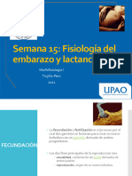 Fisiologia Embarazo y Lactancia