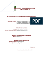 Reporte Final de Residencias Profesionales