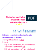 Nezivotne Podstatne Mena Muzskeho Rodu Zakoncene Na - R - l111