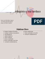 Sistema Cardiovascular