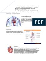 Sistema Cardiovascular Respirarorio