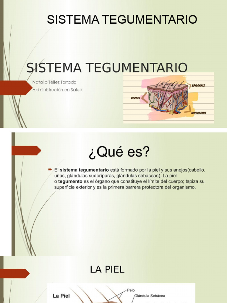 Calameo PDF Downloader | PDF