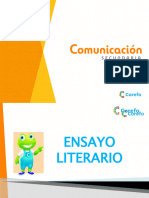 Ensayo Literario