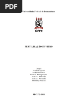Fertilização In Vitro - embriologia