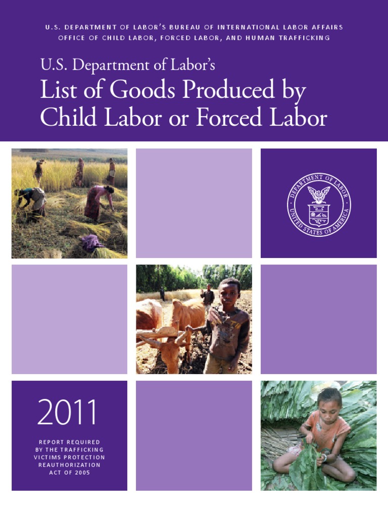 List of Goods Produced by Child Labor or Forced Labor PDF