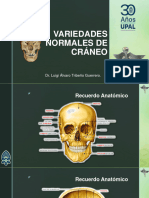 Radiologia Variedades Normales