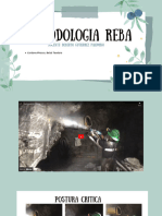 Metodologia Reba Individual