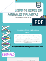 Duplicación de Genes