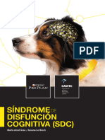 Libro SDC