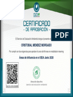 Áreas_de_Influencia_en_el_SEIA_Junio_2020-Certificado_de_aprobación_168