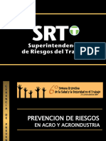 Capacitacion Riesgo en Plantas de Silo SRT