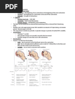 160 OB Fetal Monitoring Strip Information 4pgs