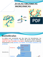 Biomoleculas