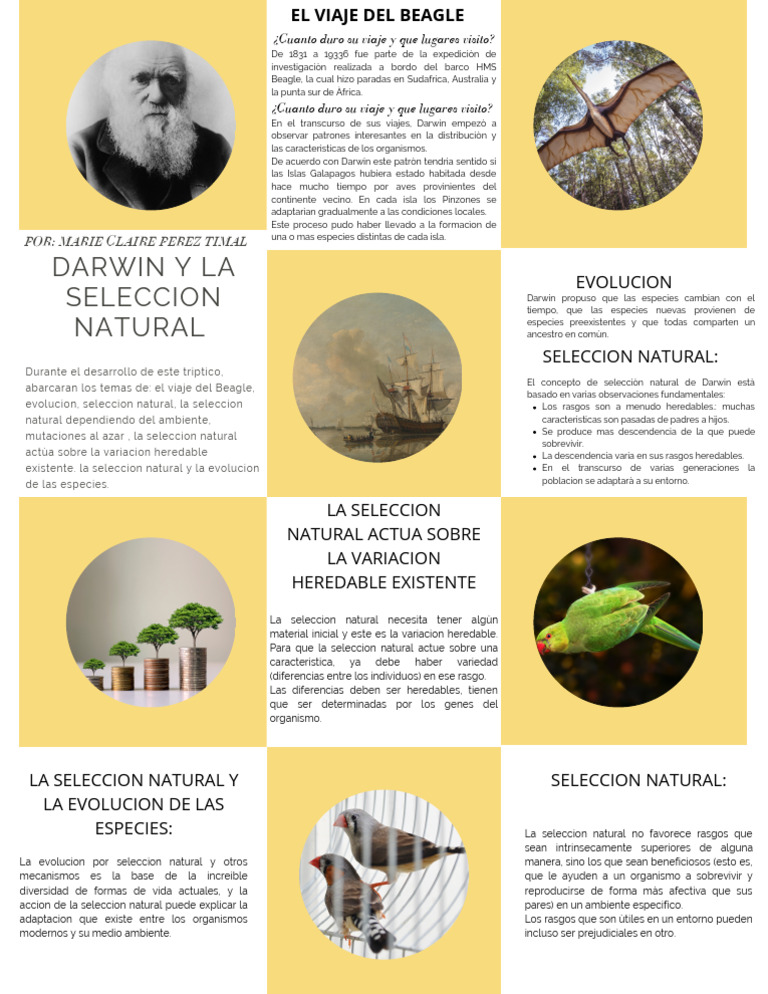 Darwin y la Selección Natural | PDF