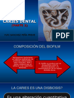 Cariologia 2º Parte