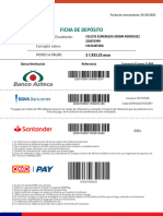 Ficha de Deposito de Pago