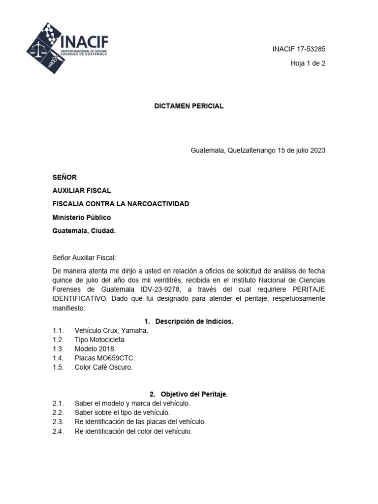 dictamen-pericial-peritaje-identificativo-pdf