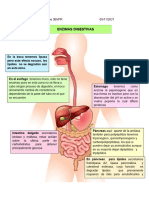 Infografía