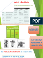 Pediculosis y Escabiosis