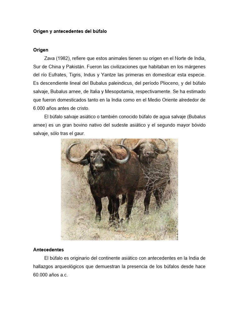 Origen y clasificación del búfalo | PDF | Ciencias sociales | Religión