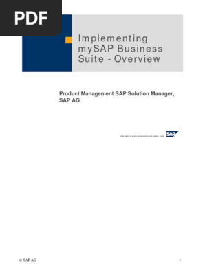 06.Implementing mySAP Business Suite