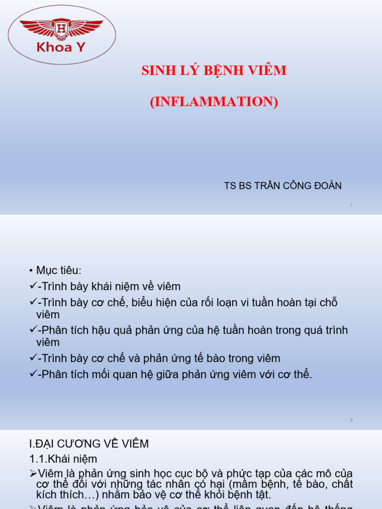 4 SLB Viêm | PDF