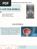 Colocación de Catéter Doble J | PDF | Sistema urinario | Riñón