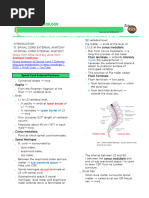 06a - Introduction To Spinal Cord - Neuroanatomy