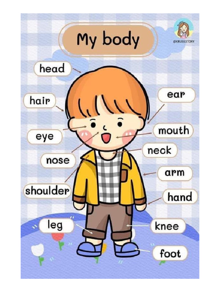 Parts of Body | PDF