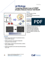 Small-Molecule-Targeting Hairpin Loop of hTERT