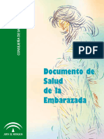 Csafa DocumentoSaludEmbarazada SE1738-2019