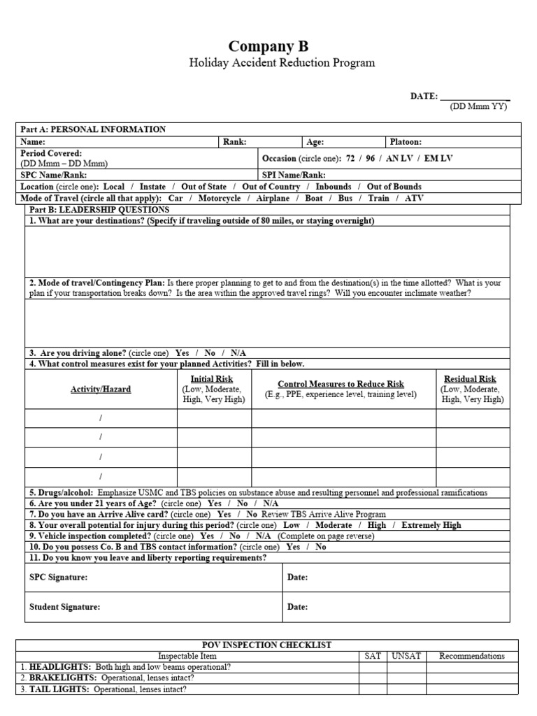 Holiday Accident Reduction Program | PDF