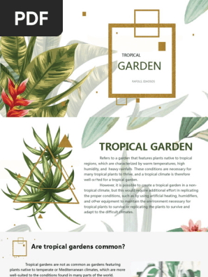 TROPICAL GARDEN
