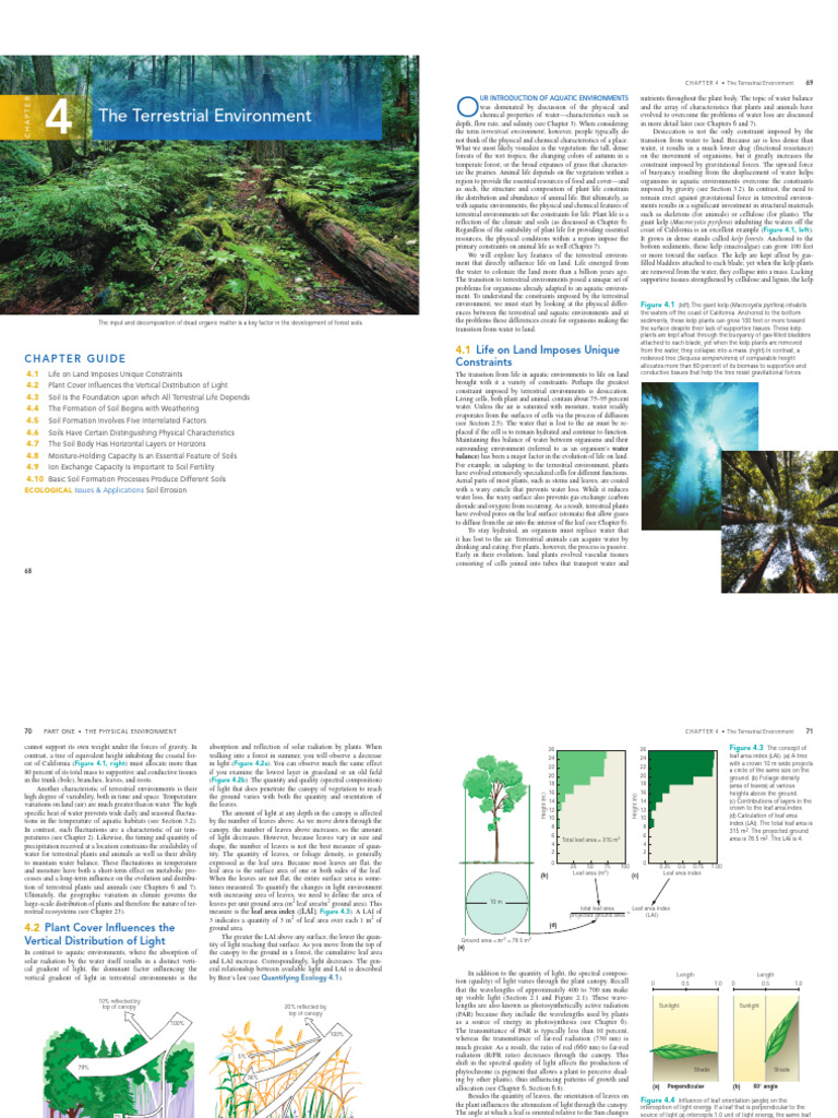 Understanding Terrestrial Environments | PDF | Leaf | Soil